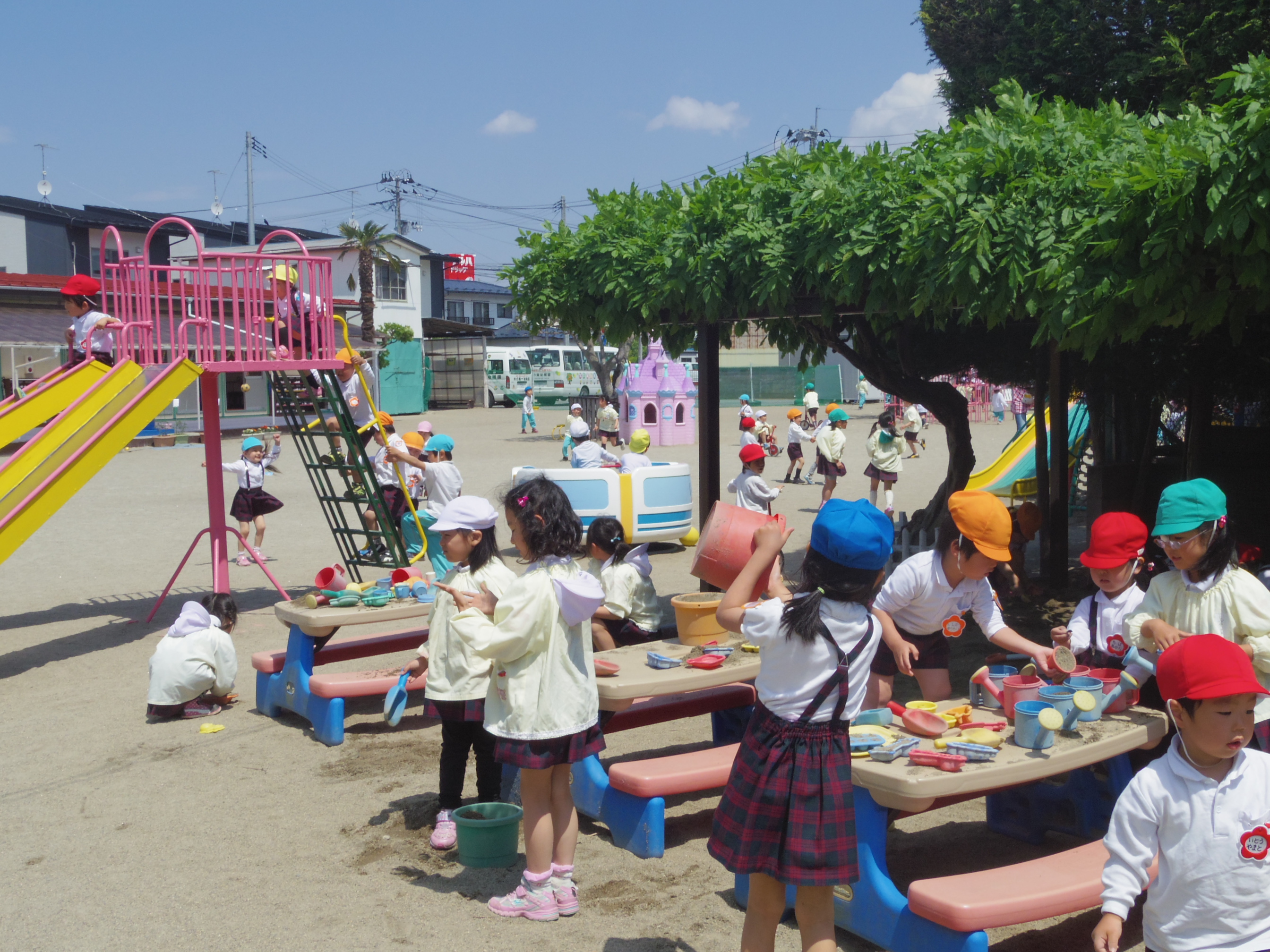 木の実幼稚園