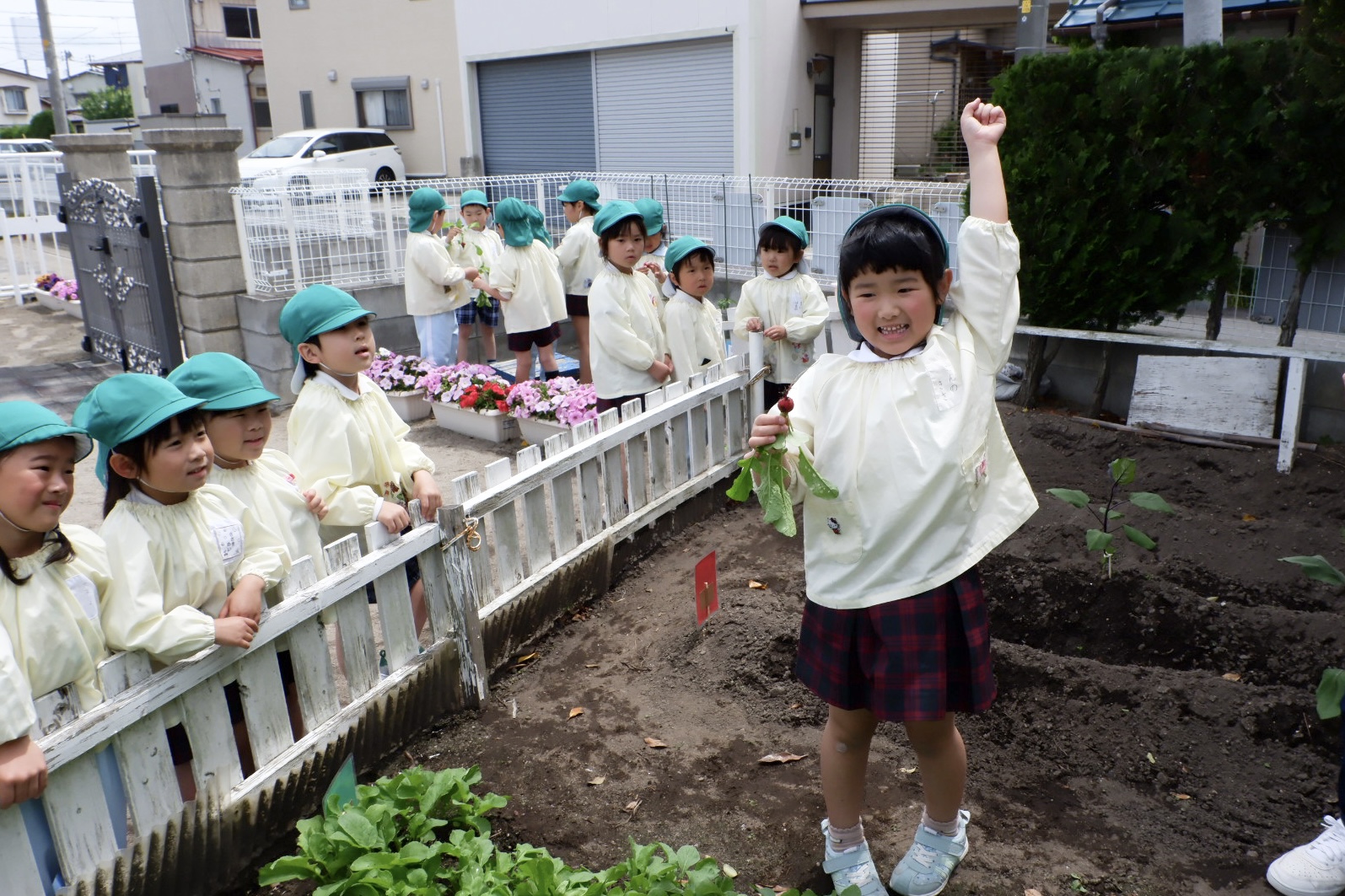 畑で野菜を収穫する子どもたち